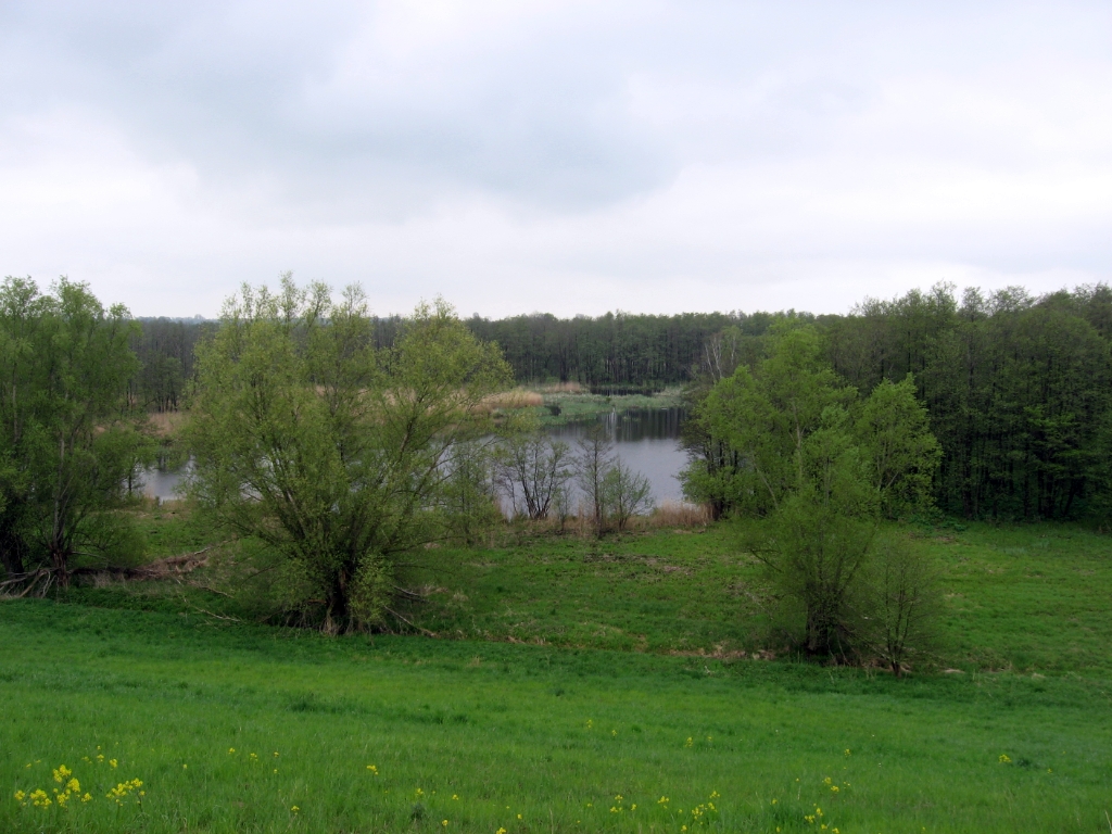 Duitsland Elly (40)